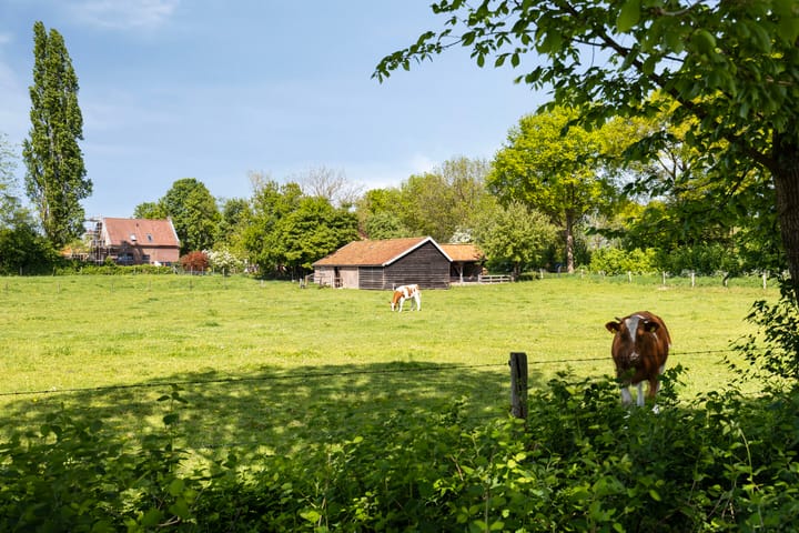 Foto 33 van Prins Bernhardlaan 18