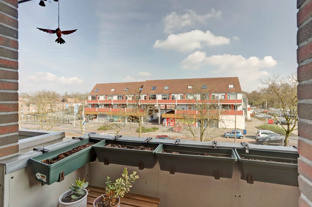 Foto 13 van Zeven Bosjes 125