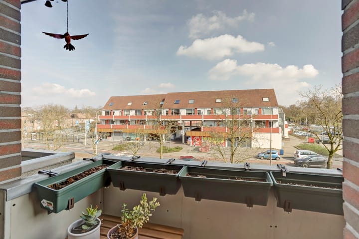 Foto 13 van Zeven Bosjes 125