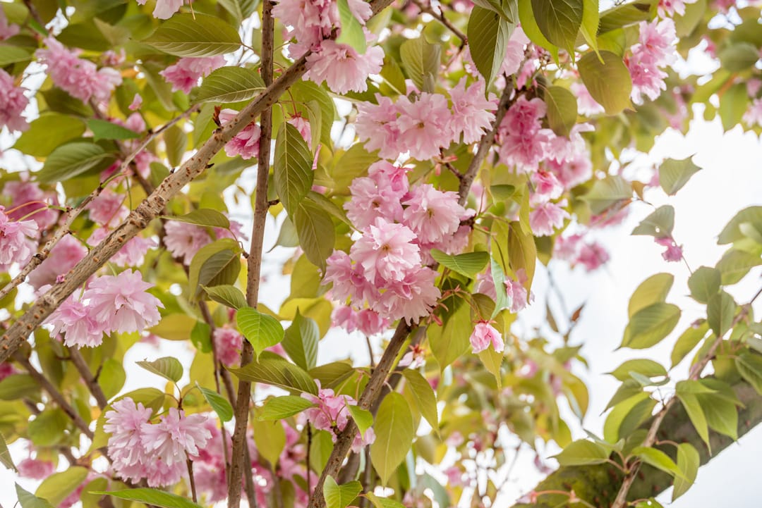 Foto 7 van Prins Bernhardstraat 11