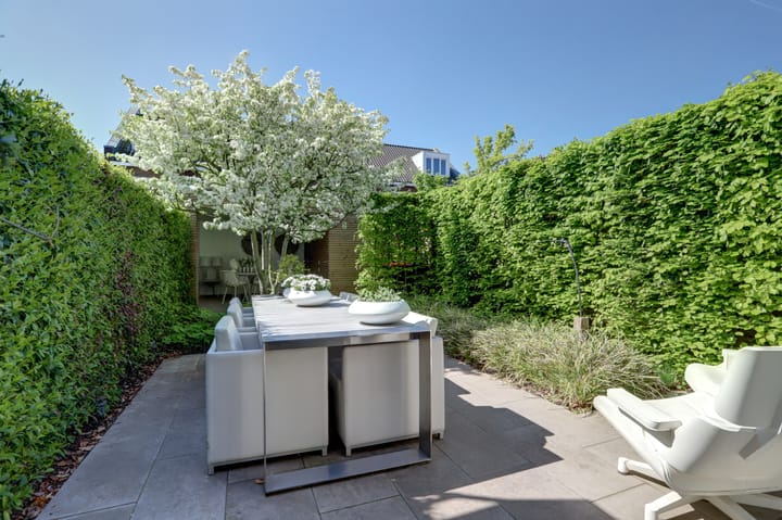 Photo 34 of Venestraat 28