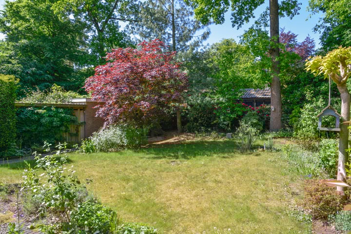 Foto 22 van da Costalaan 19