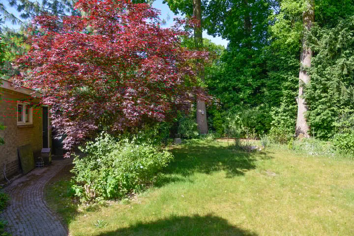 Foto 24 van da Costalaan 19