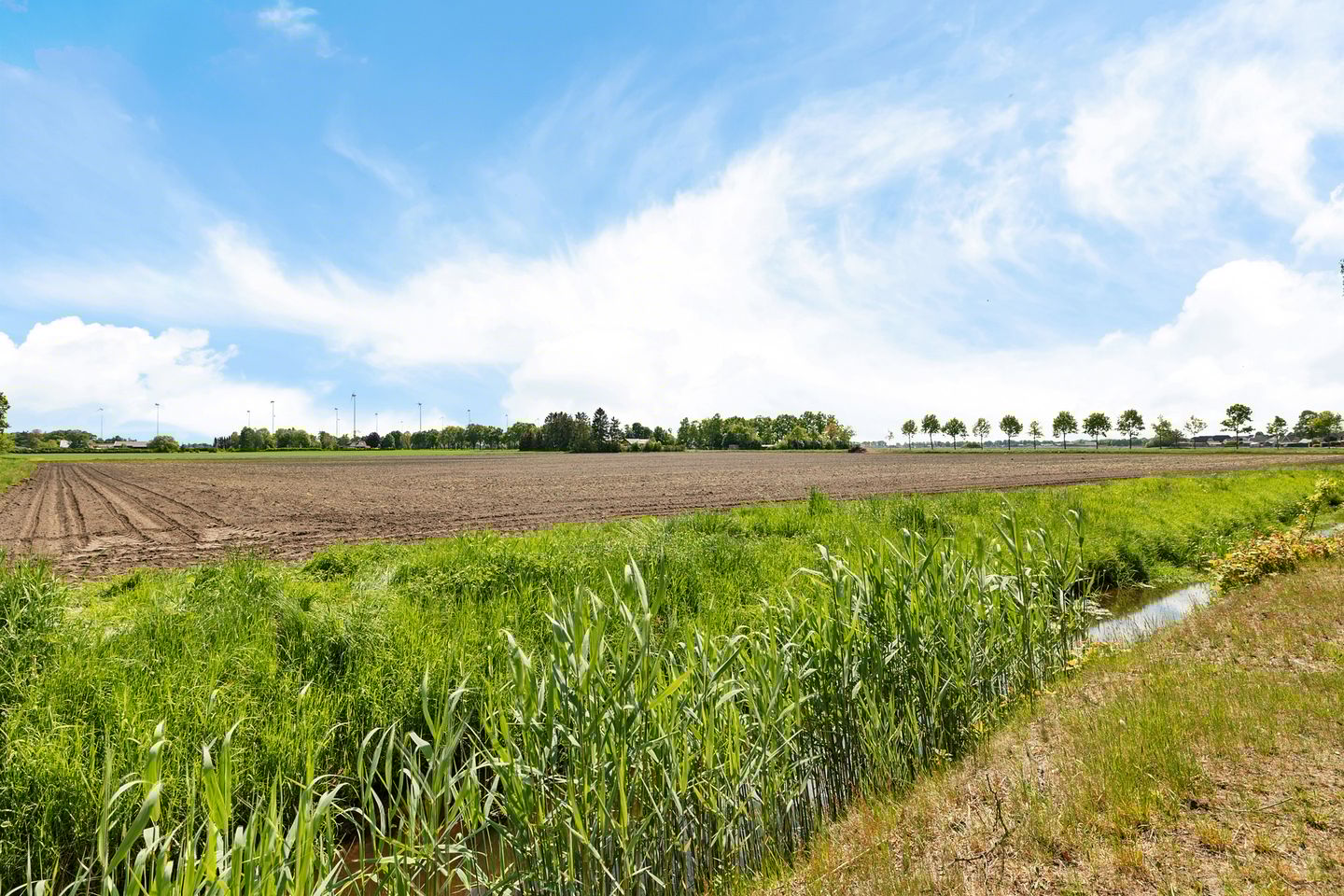 Foto 44 van Willehadshof 33