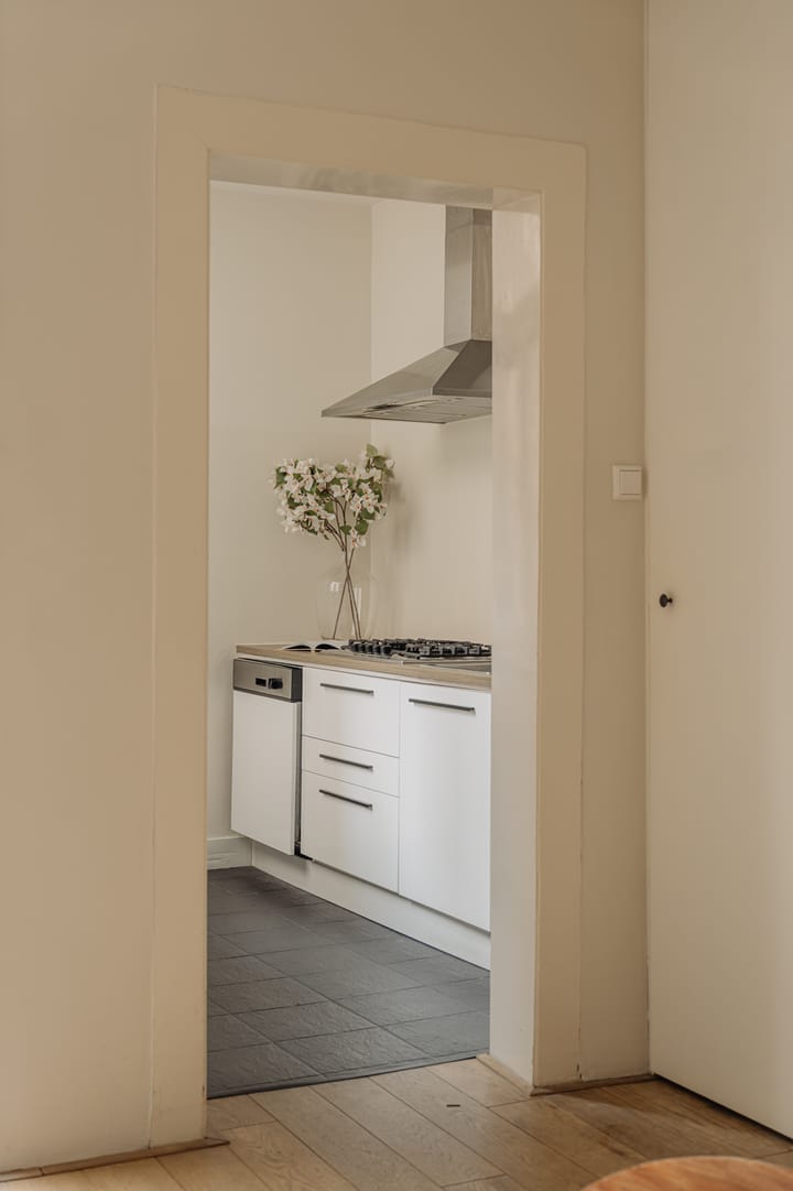 Photo 12 of Gerard Doustraat 188-1