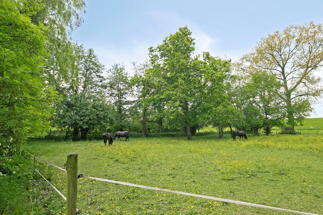 Foto 31 van Herxen 53