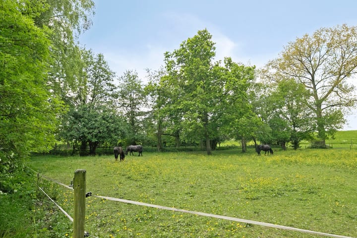 Foto 31 van Herxen 53