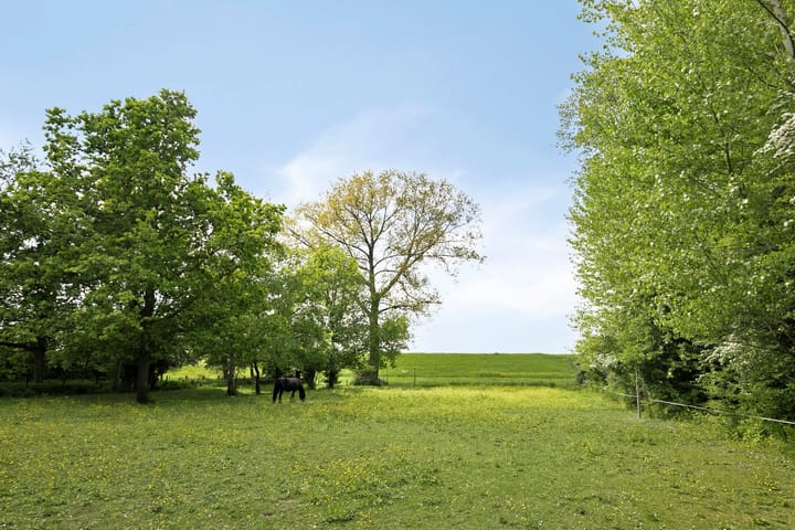 Foto 32 van Herxen 53