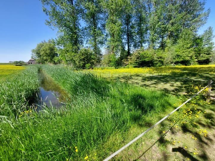 Foto 33 van Herxen 53