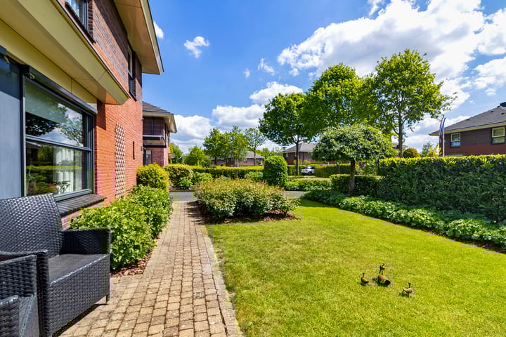 Foto 6 van Fonteinkruid 50