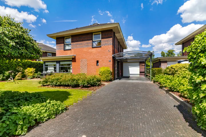 Foto 1 van Fonteinkruid 50