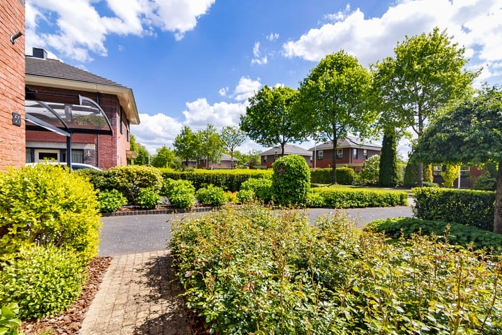 Foto 7 van Fonteinkruid 50