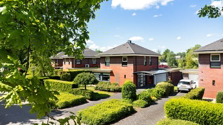 Foto 2 van Fonteinkruid 50