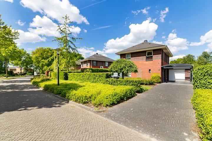 Foto 9 van Fonteinkruid 50