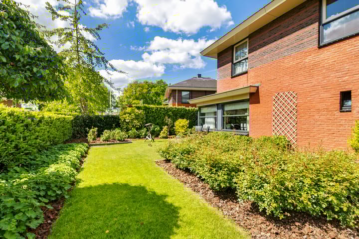 Foto 8 van Fonteinkruid 50