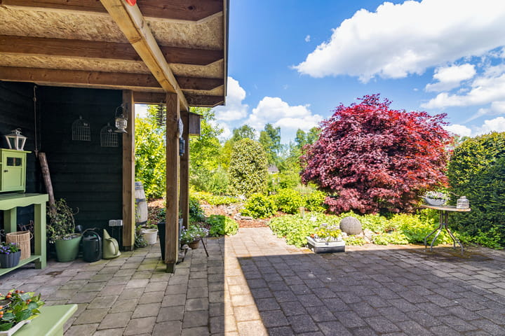 Foto 33 van Fonteinkruid 50