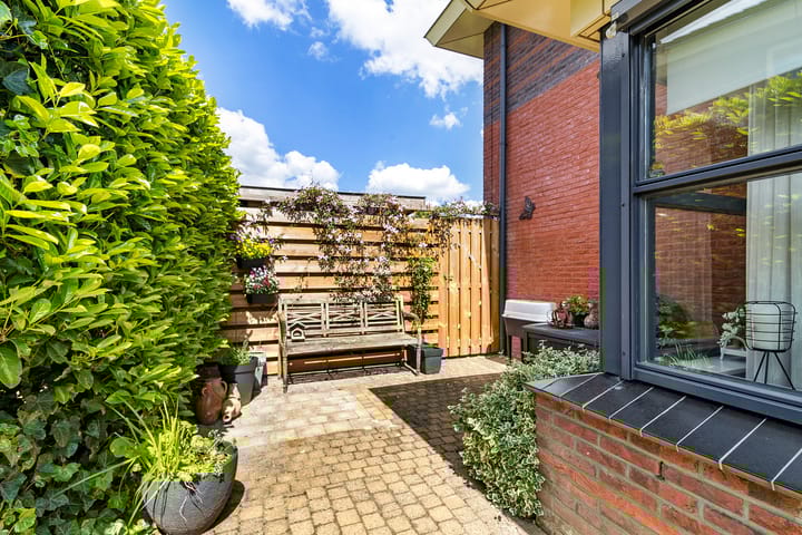 Foto 41 van Fonteinkruid 50