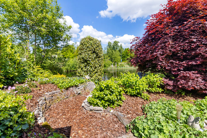 Foto 34 van Fonteinkruid 50