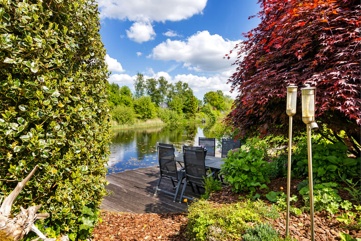 Foto 35 van Fonteinkruid 50