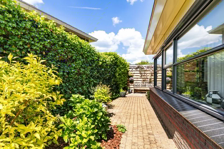 Foto 42 van Fonteinkruid 50