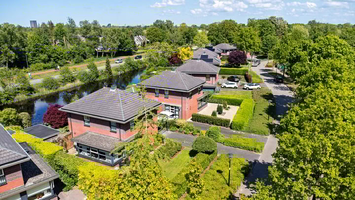 Foto 45 van Fonteinkruid 50