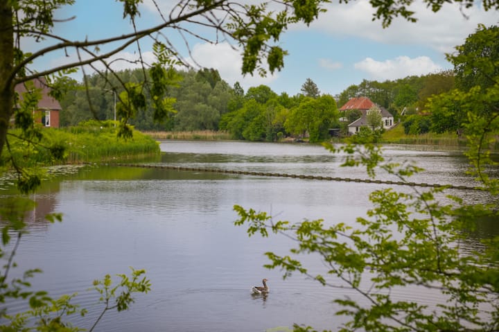 Foto 4 van de Tuut 2