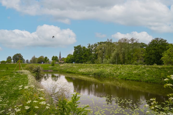 Foto 51 van de Tuut 2