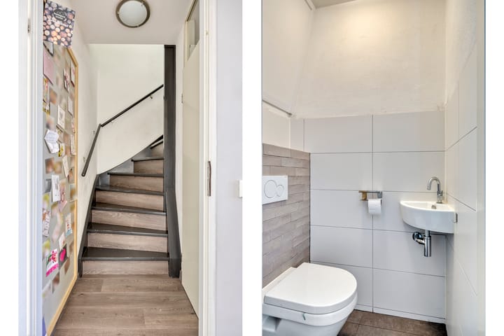 Foto 15 van De Knolraap 4