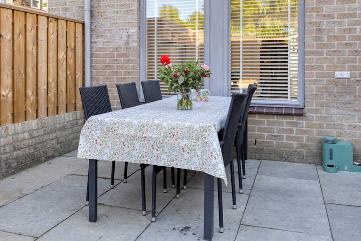 Foto 31 van De Knolraap 4