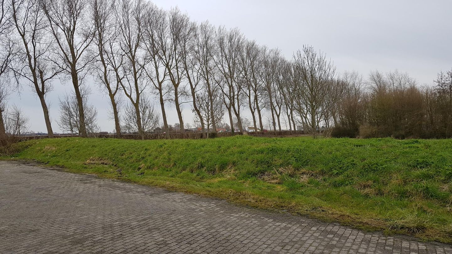 Bekijk foto 5 van De Roterij 34-0006