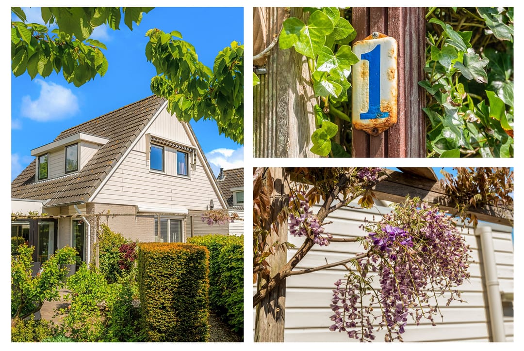 Foto 2 van Koningsveld 1