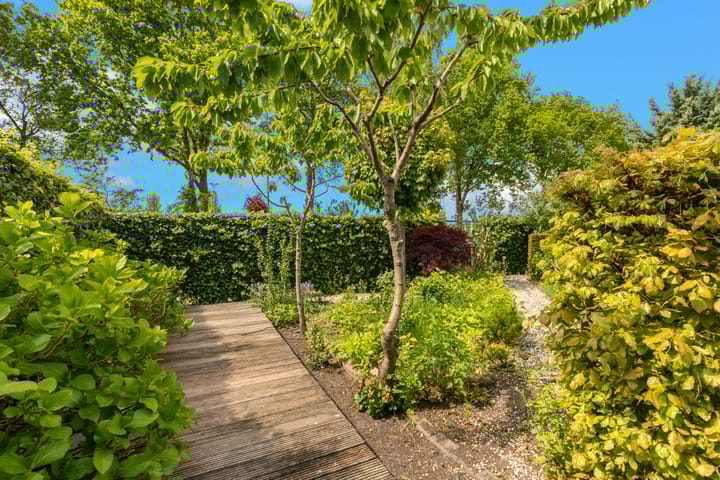 Foto 15 van Koningsveld 1