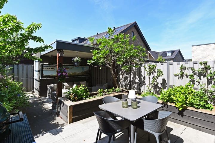 Foto 3 van Pijlstaart 3