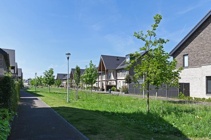 Foto 38 van Pijlstaart 3