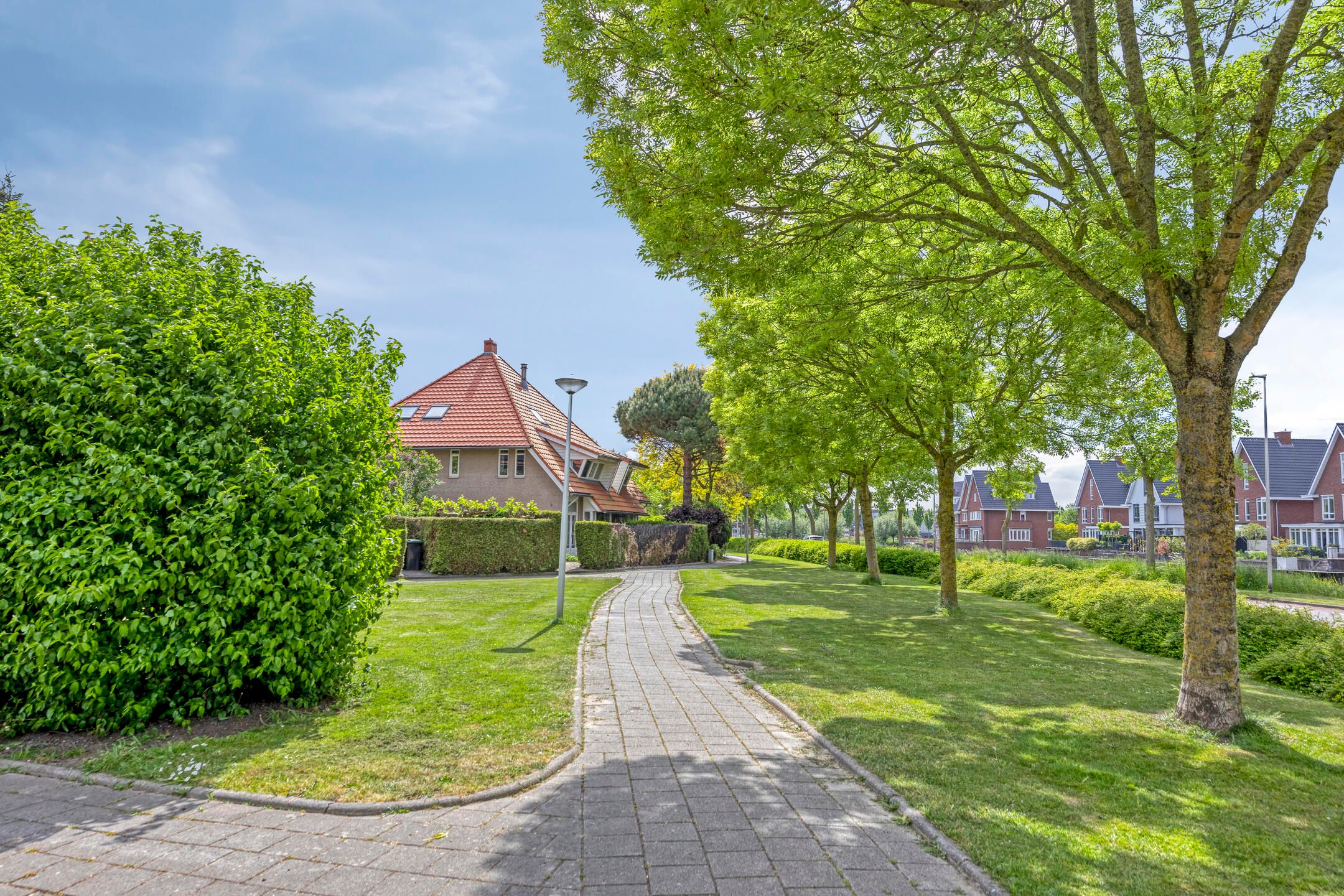 Foto 3 van Planciusdreef 51