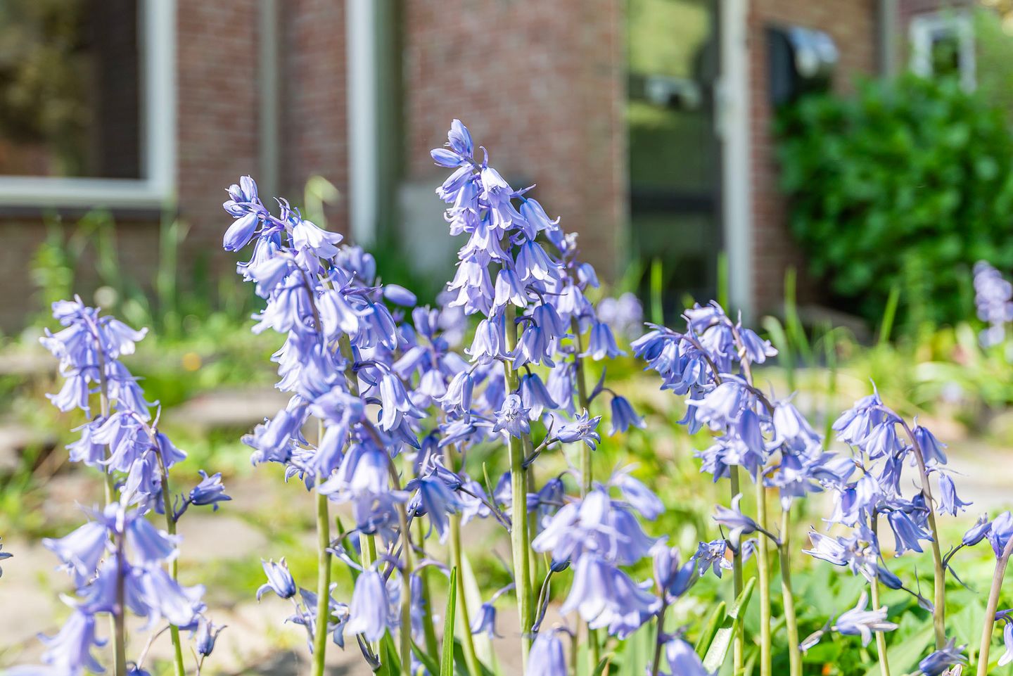 Foto 35 van Vijverpad 44