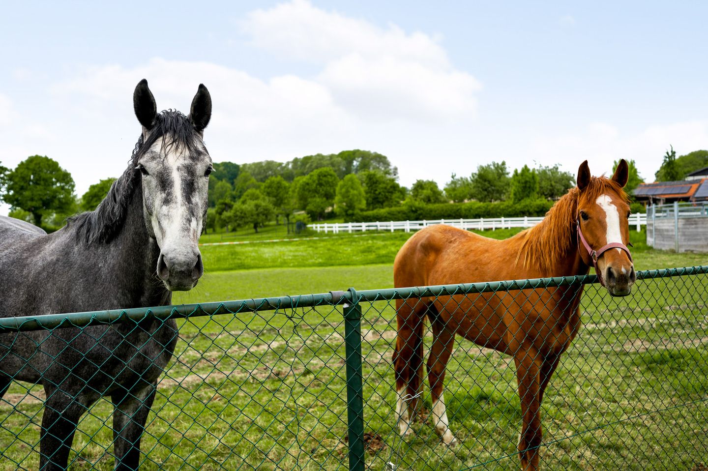 Foto 29 van Schatsberg 5