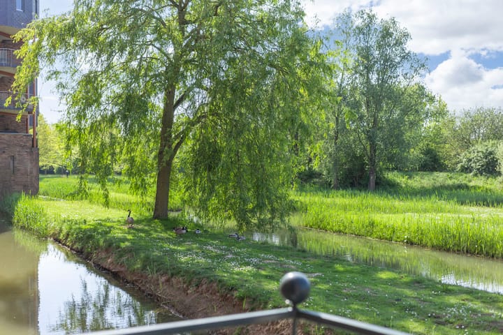 Foto 13 van Leliënhuyze 9