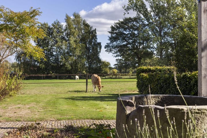 Foto 66 van Spölmanweg 4