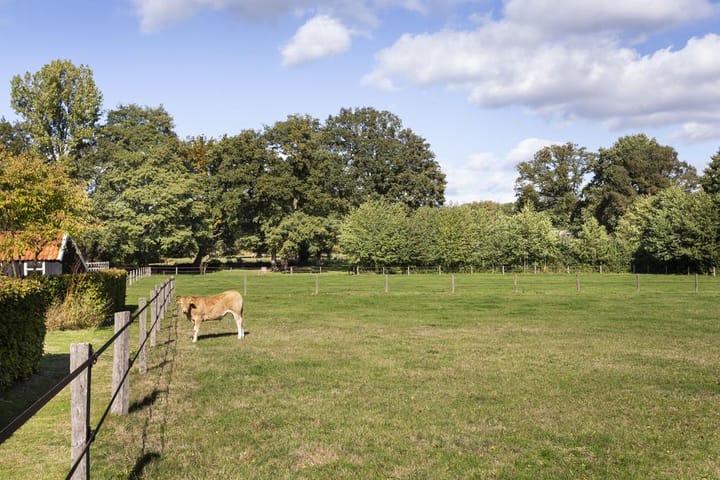 Foto 67 van Spölmanweg 4