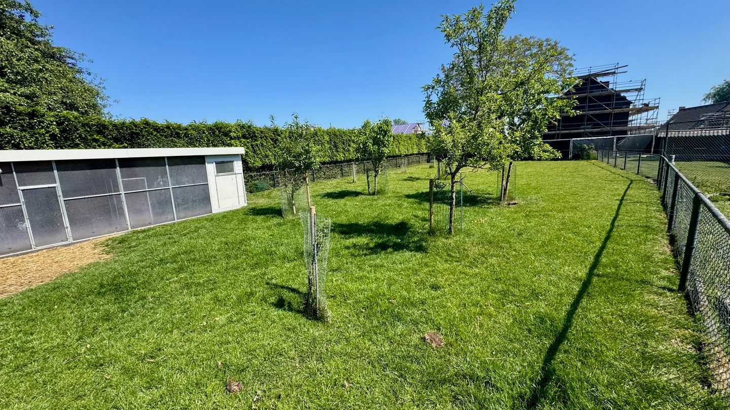 Photo 5 of Deken Schmerlingstraat 40