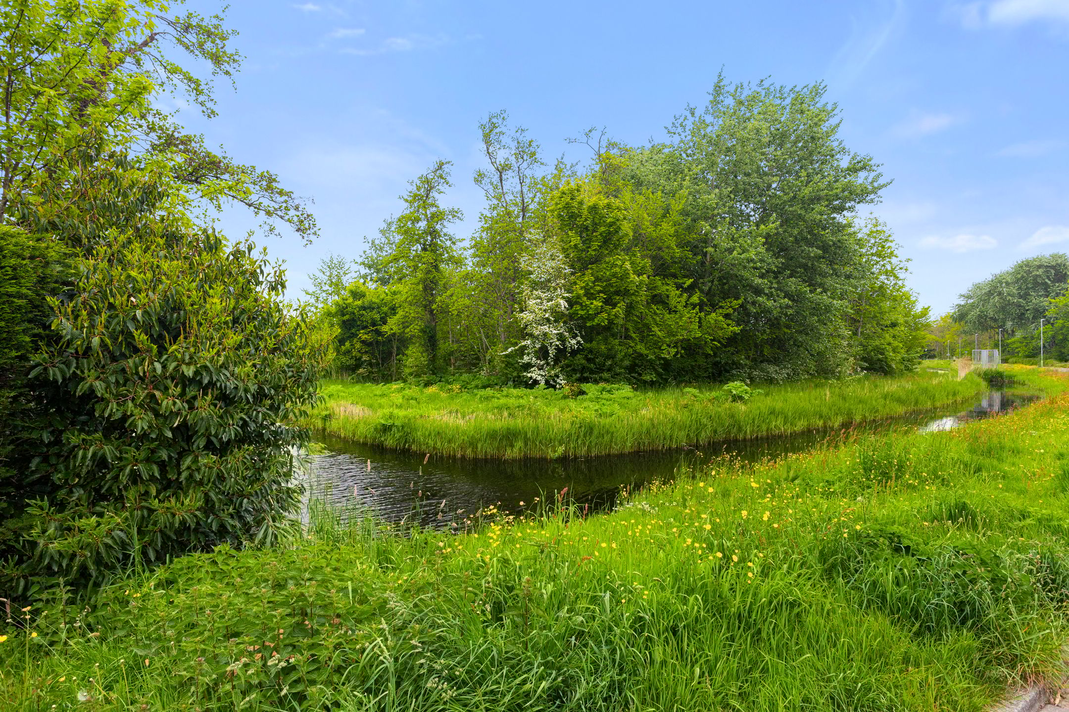 Foto 42 van Linieweg 8