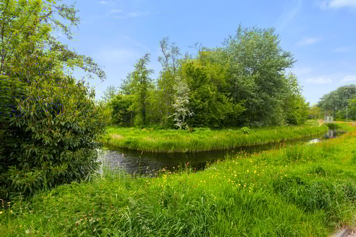 Foto 42 van Linieweg 8