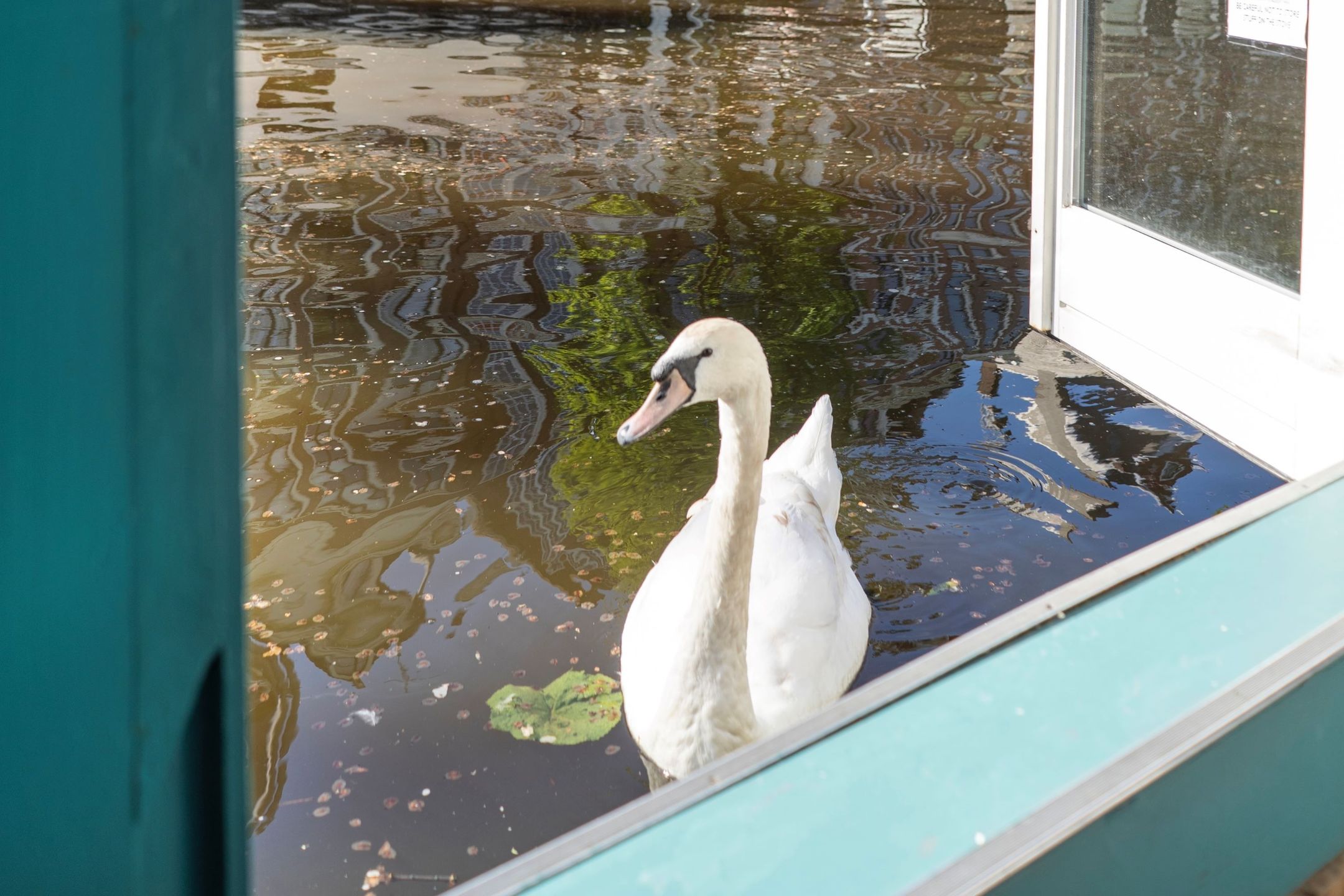 Photo 18 of Prinsengracht 215-M