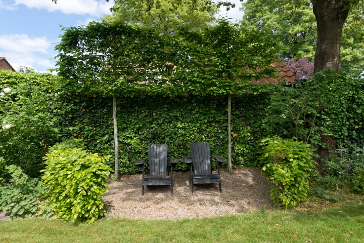 Photo 45 of Steijnweg 62