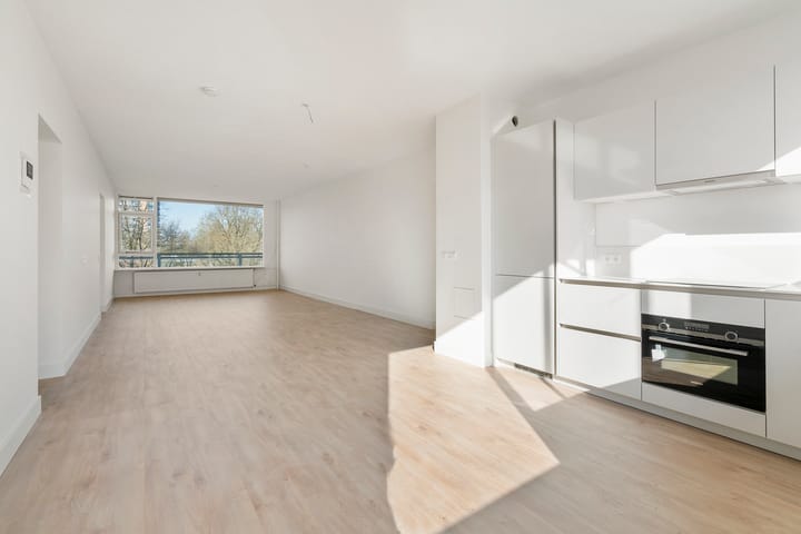 Foto 11 van Laan van Parijs 16