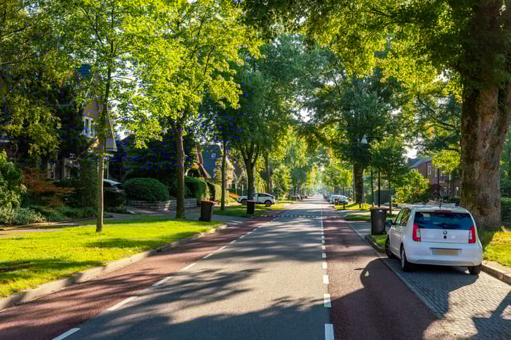 Foto 45 van Asselsestraat 322