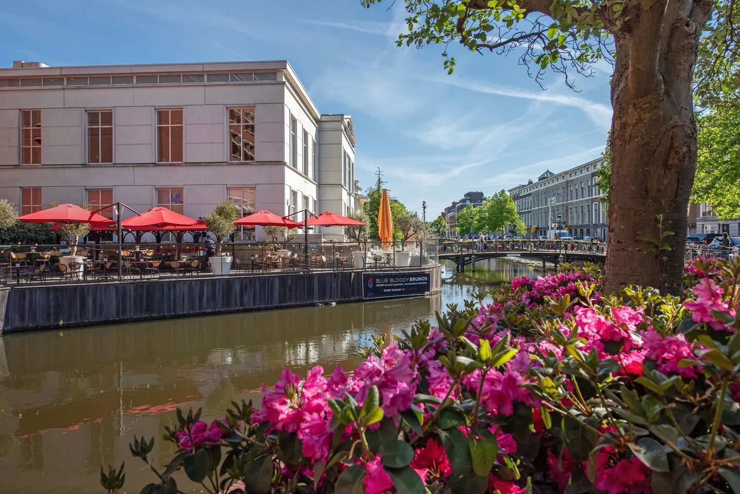 Foto 29 van Maziestraat 22-A