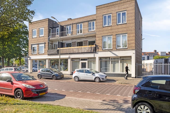 Foto 6 van Professor Regoutstraat 7