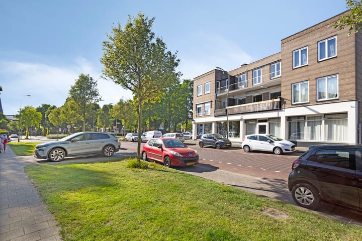 Foto 8 van Professor Regoutstraat 7